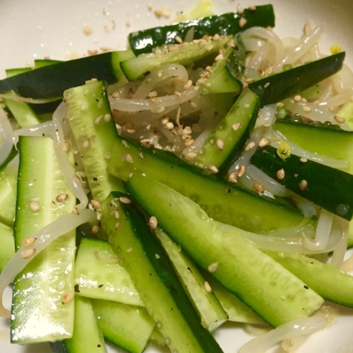 塩だれで簡単！きゅうりともやしの中華冷菜
